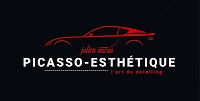 Picasso esthétique par julien miron l’art du detailing